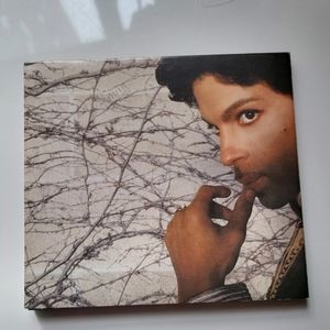 CD Prince musicology